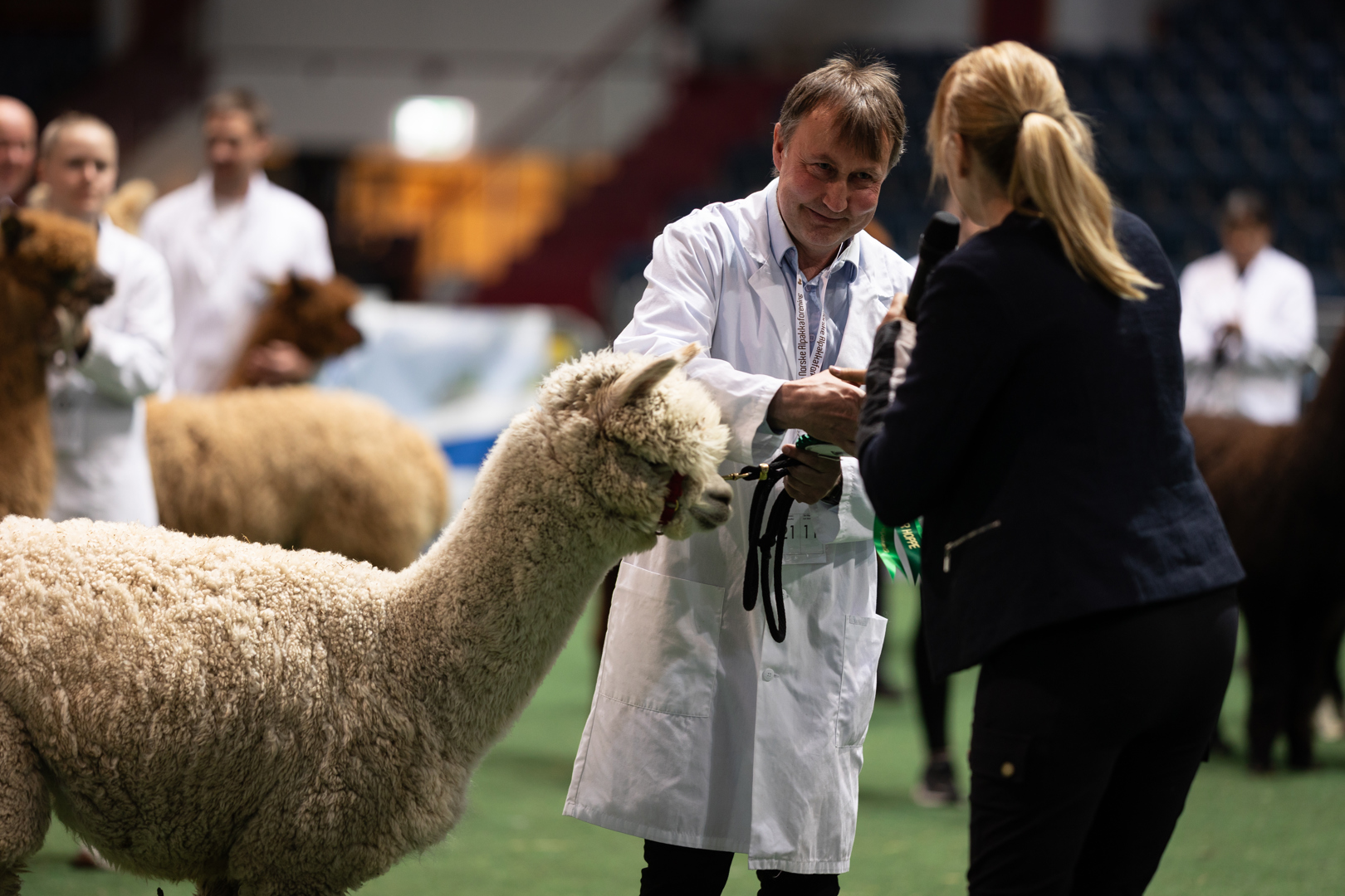 Medlemsmøte: Utstillinger - Hvorfor og hvordan!