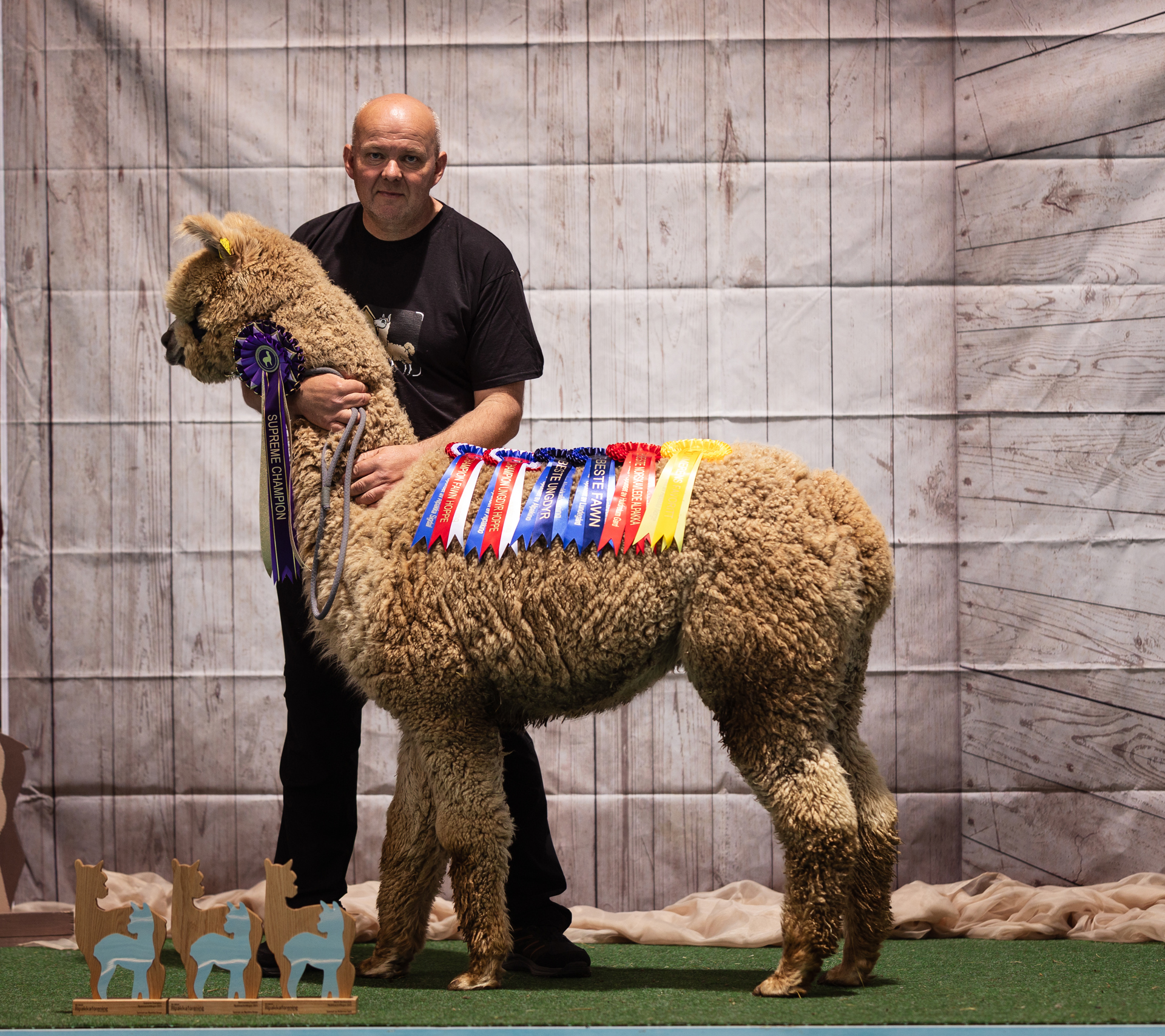 Vårutstillingen 2025 på Stange