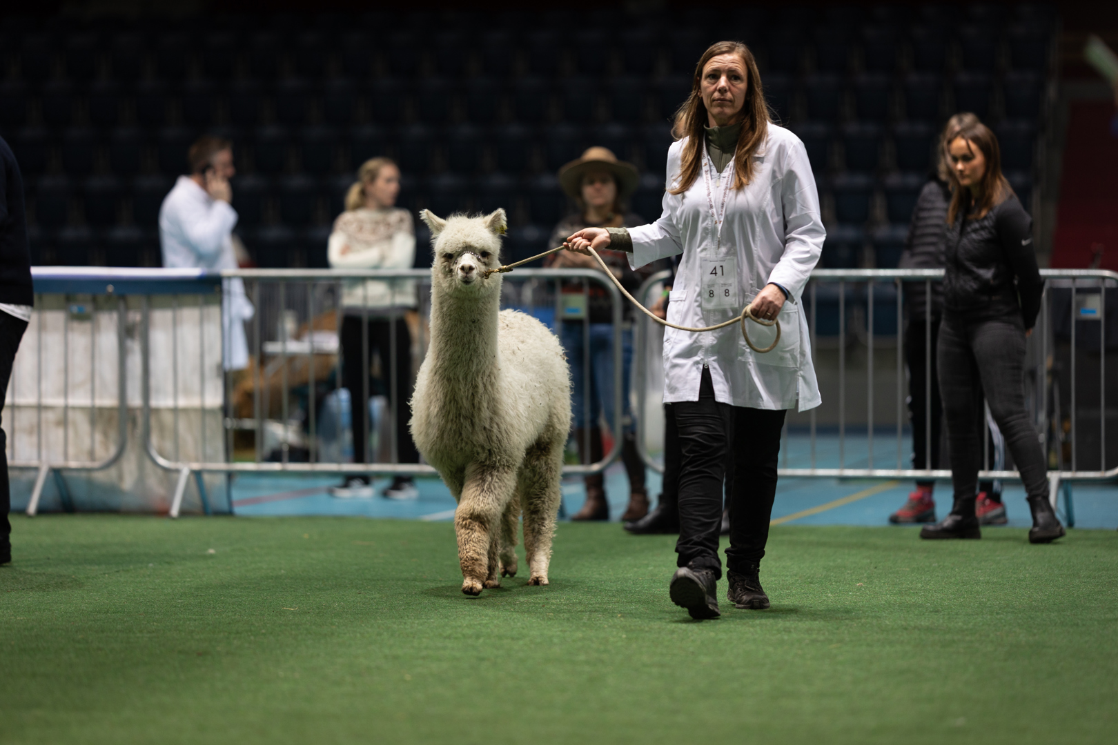 Instruksjonsvideoer utstilling