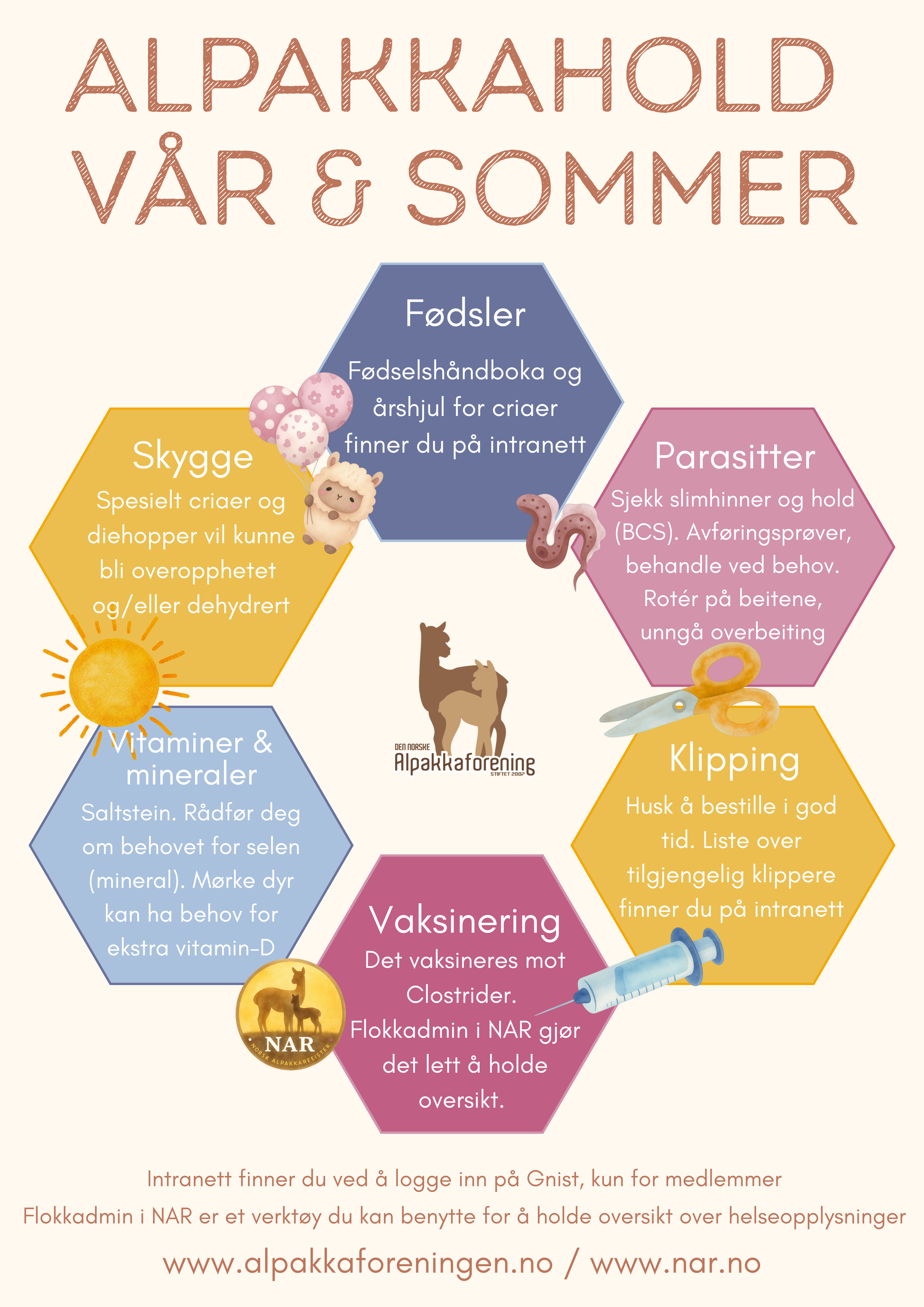 Artikkelbilde til artikkelen Alpakkahold - Vår og sommer