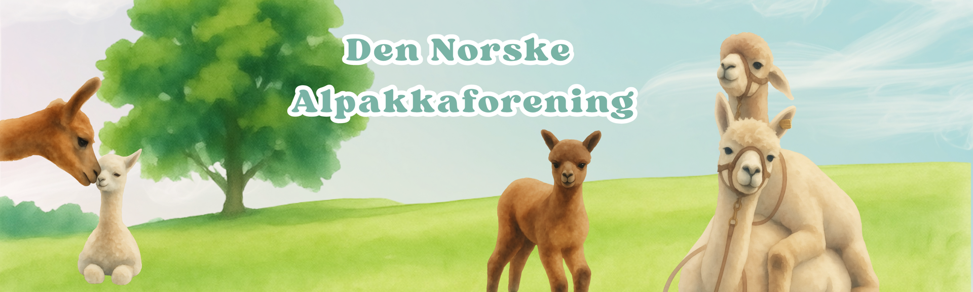 karusellbilde